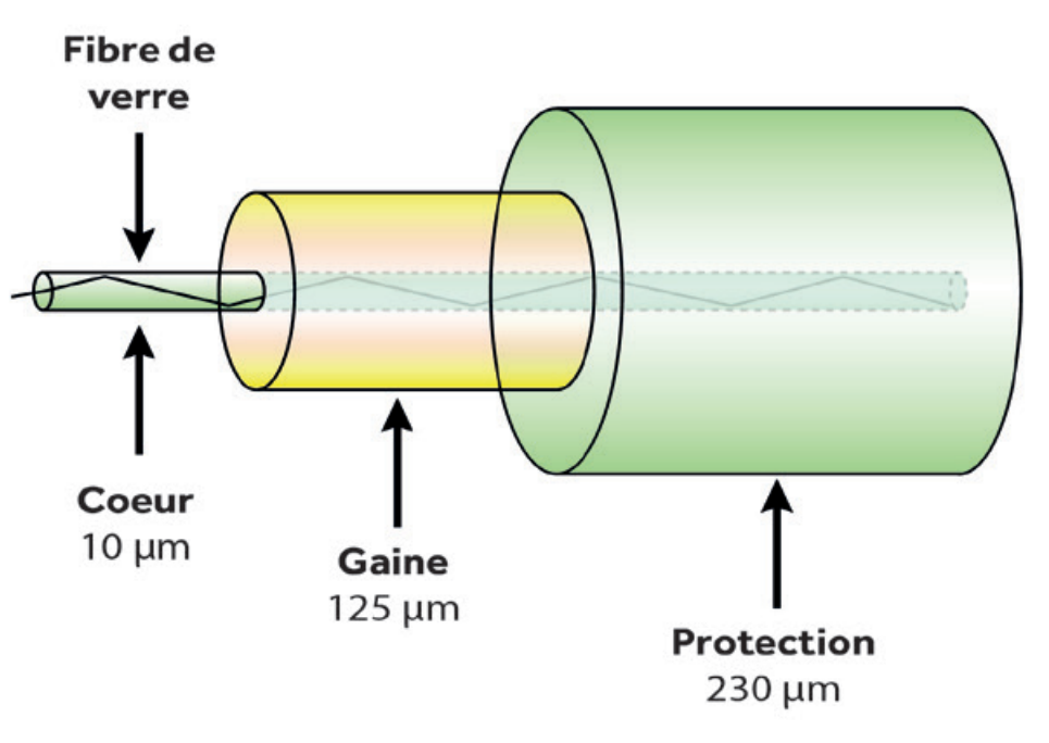 LA FIBRE OPTIQUE - Guyacom